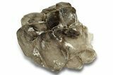 Smoky Elestial Quartz Cluster - Brazil #256445-1
